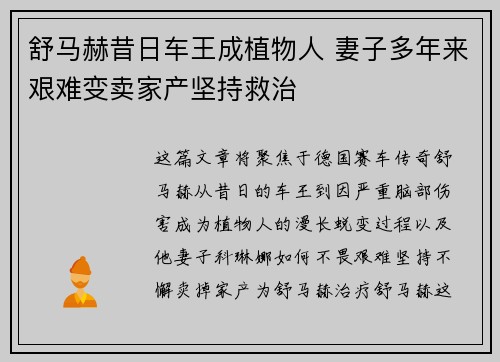 舒马赫昔日车王成植物人 妻子多年来艰难变卖家产坚持救治
