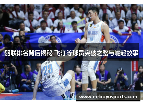 羽联排名背后揭秘 飞汀等球员突破之路与崛起故事