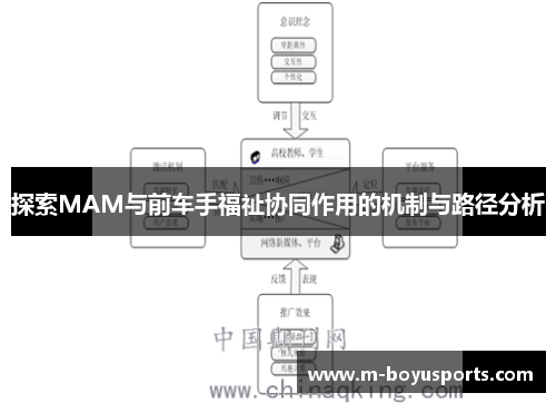 探索MAM与前车手福祉协同作用的机制与路径分析